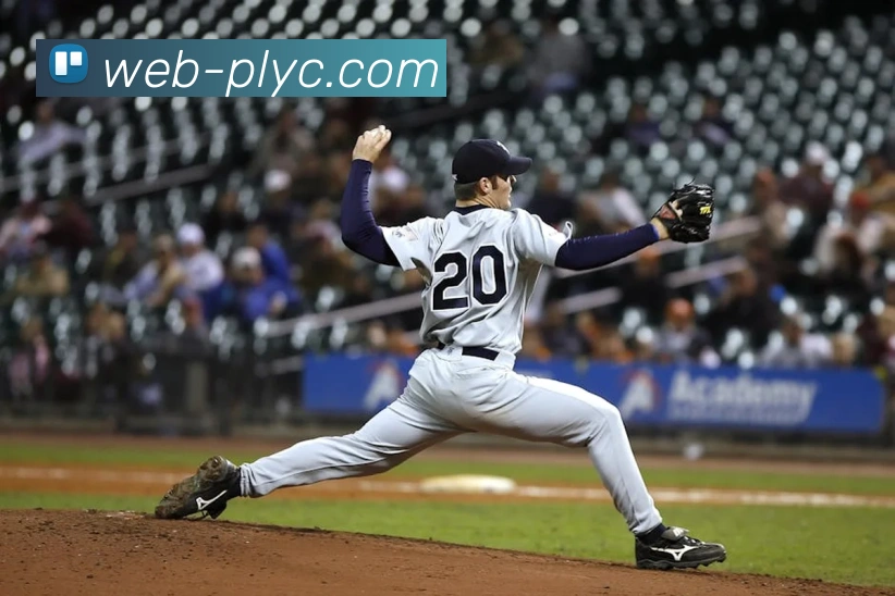 英超直播(PL)官方合作资讯网平台生态图